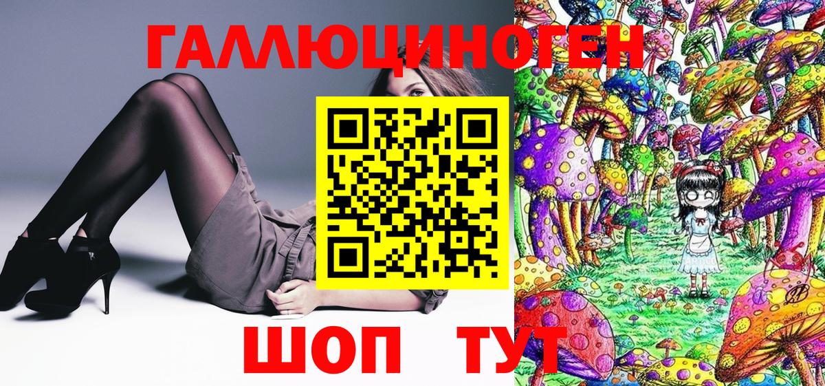 Павловский Посад  Псилоцибиновые грибы MAGIC MUSHROOMS  Вход с VPN 
